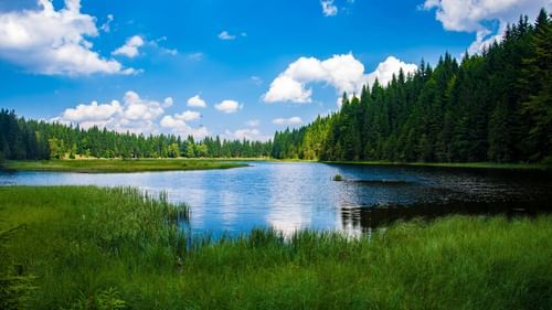 image of a lake with a clear backdrop of a blue sky and lush green grass in the foreground