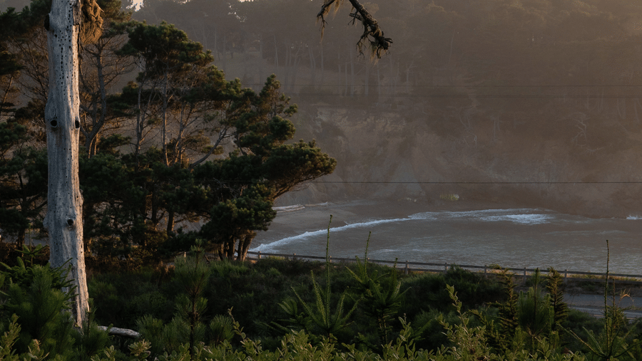 03-mendocino-coast-sunset-cove-view-from-brewery-gulch-inn