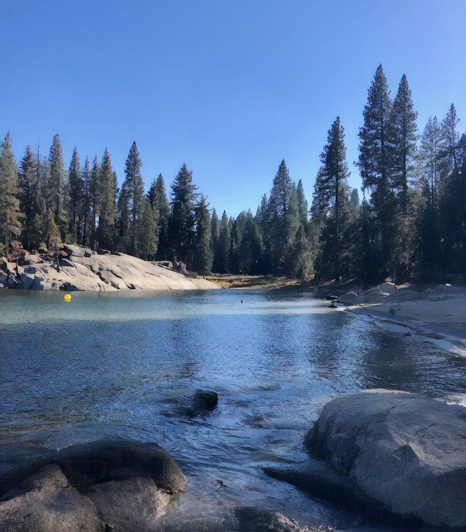 A view of a lake with a few rocks in the foreground and a forest in the backdrop on a clear, blue day