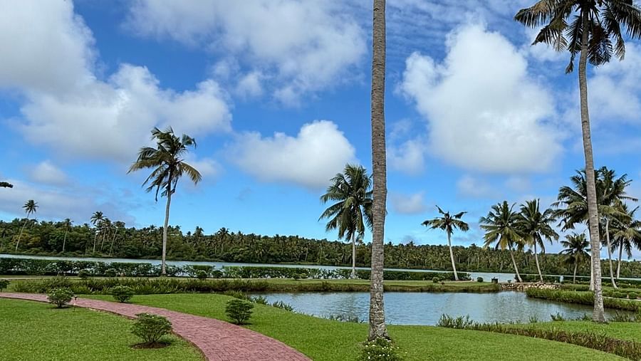 A view of palm trees surrounding a swimming pool and a red brick path leading toward it, under a partly cloudy sky at Still Waters, Varkala.