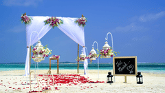 Wedding setup near the beach with red roses on the sand. 