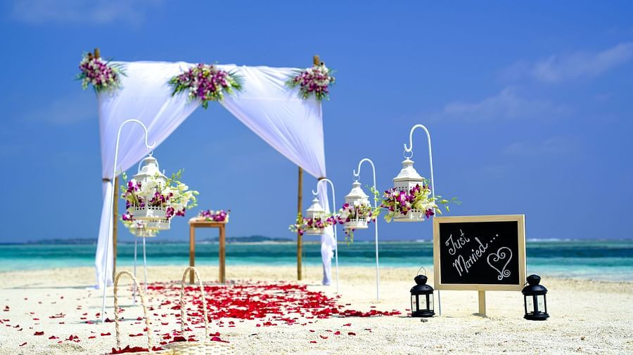 decor - beachside wedding setup in goa