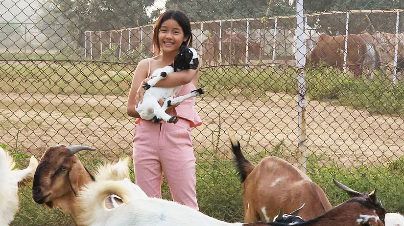 A girl standing in a farm land amidst goats with a baby goat in her hand - Karma Lakelands.