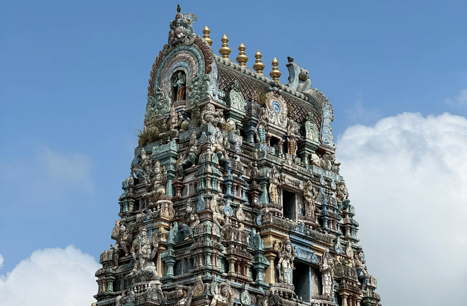 pexels-jaydeep-solanki-2150483827-35237705