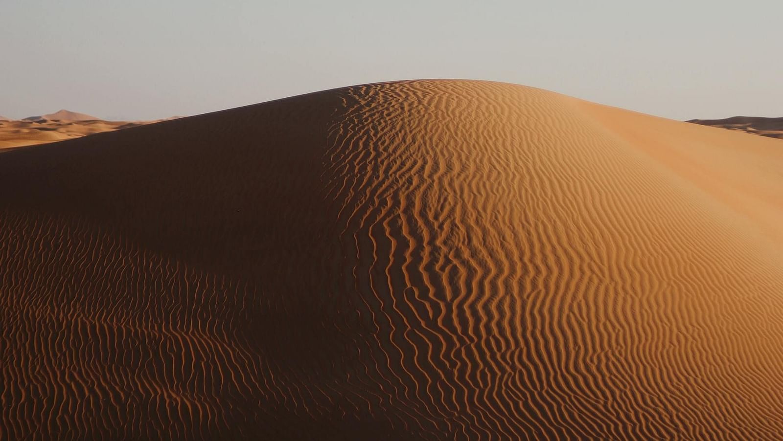 a picture of a dune in thar desert with shaped created by the wind