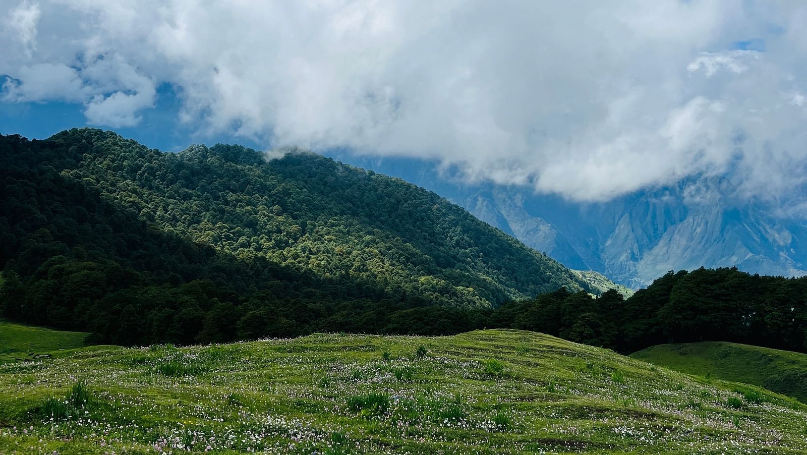 Image of a green valley at Garson Meadow | Faraway Cottages, Auli