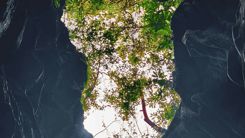 Narrow rocky gorge seen from above, with moss-covered surfaces
