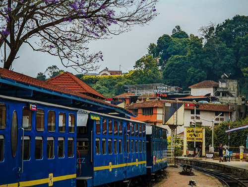 A view from Coonoor station with a blue Ooty train on the tracks, and a tree next to the train.