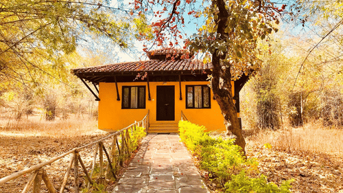 Villa at Infinity Resorts Bandhavgarh, Villas in Bandhavgarh 5