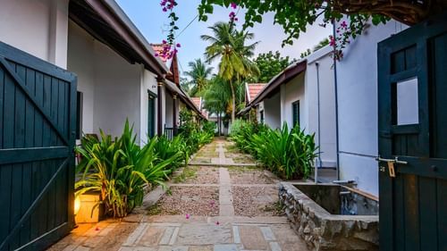 alley view at Neemrana coconut alley