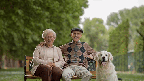 Old couple sitting on a bench with a dog