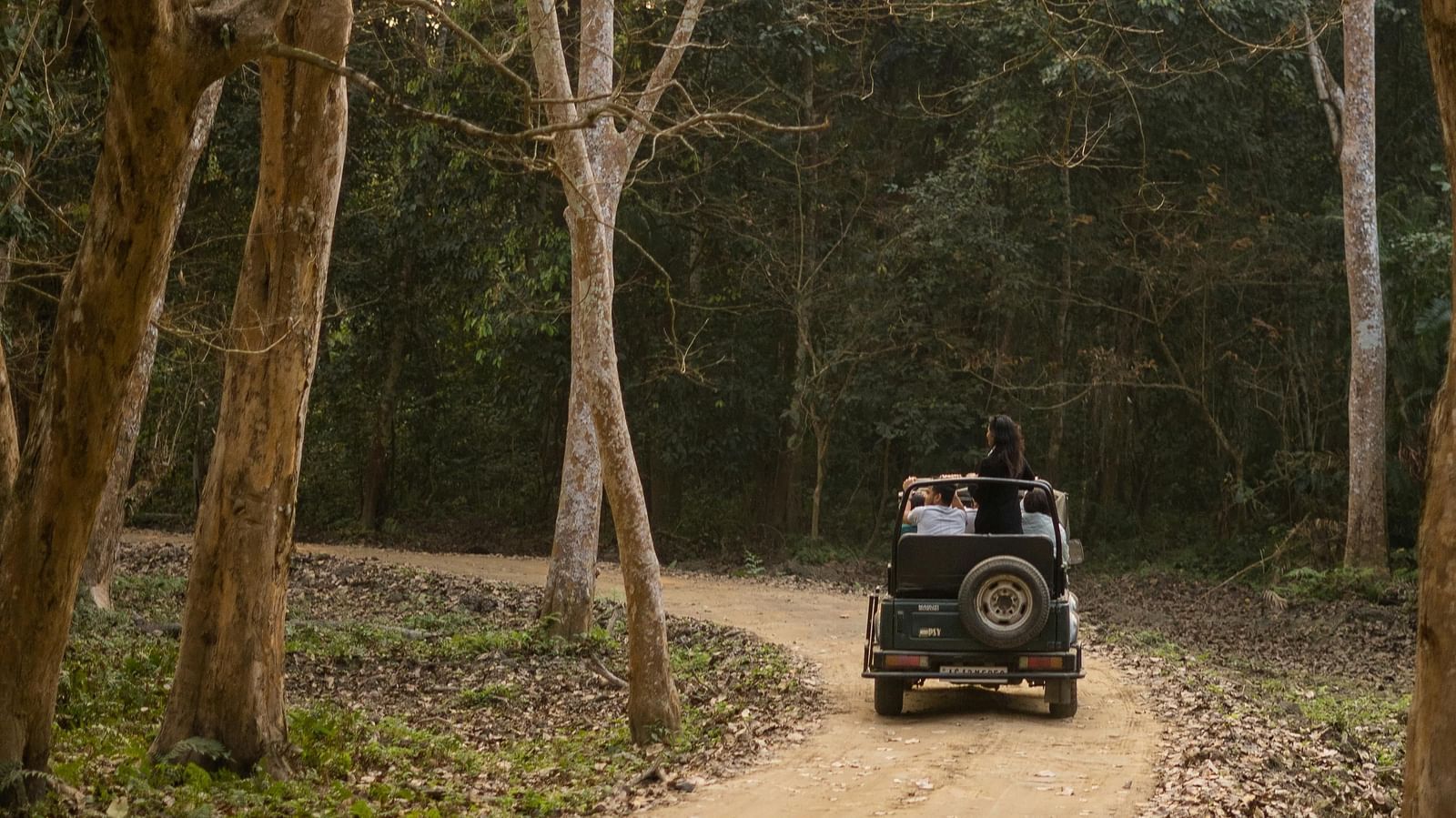 A jeep driving through on off road in a forest