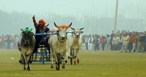 Kila Rai Sports Festival Park Plaza - Ludhiana 5 Star Hotels in Ludhiana