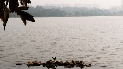 Evoma - Business Hotel, K R Puram, Bangalore Bangalore Hebbal lake Bangalore