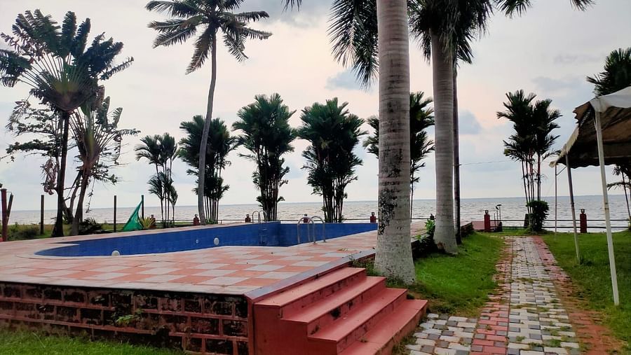 corner view of a swimming pool with green trees around