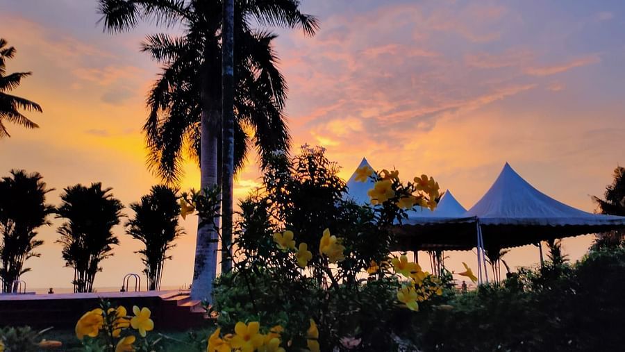 sunset view from the lawn surrounded by trees and flowers