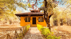 Villa at Infinity Resorts Bandhavgarh, Villas in Bandhavgarh 5