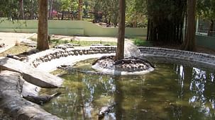 Abids Inn- Homestay, BTM Layout Bengaluru Bannerghatta National Park Abids Inn Homestay BTM Layout