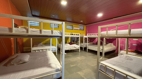 20-bed dormitory at Nature Trails Durshet with metal bunk beds, vibrant orange, yellow, and pink walls, and wooden ceiling.