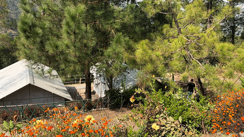 LETS Camp Chail Hills Sup Tents top view