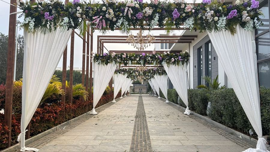 Elegant outdoor walkway with hanging plants 