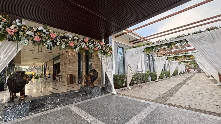 Elegant outdoor walkway with hanging plants and decor