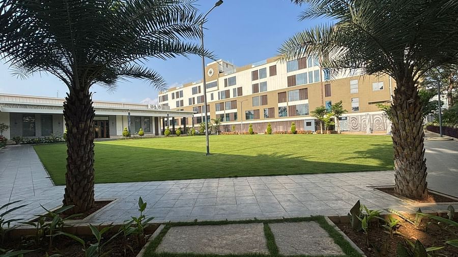 A lush outdoor lawn framed by palm trees and pathways for serene gatherings.