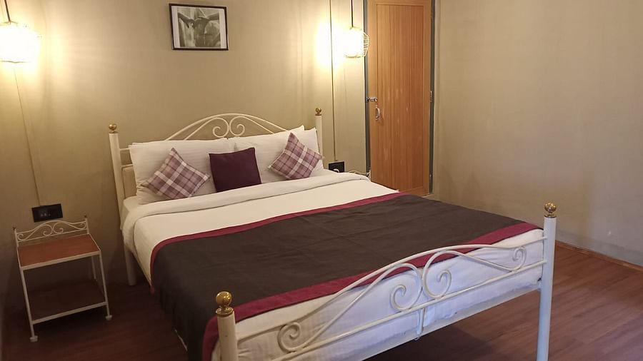 Modern bedroom with twin beds, stylish swing chair, and wall art display - at Woodstock Cafe BnB