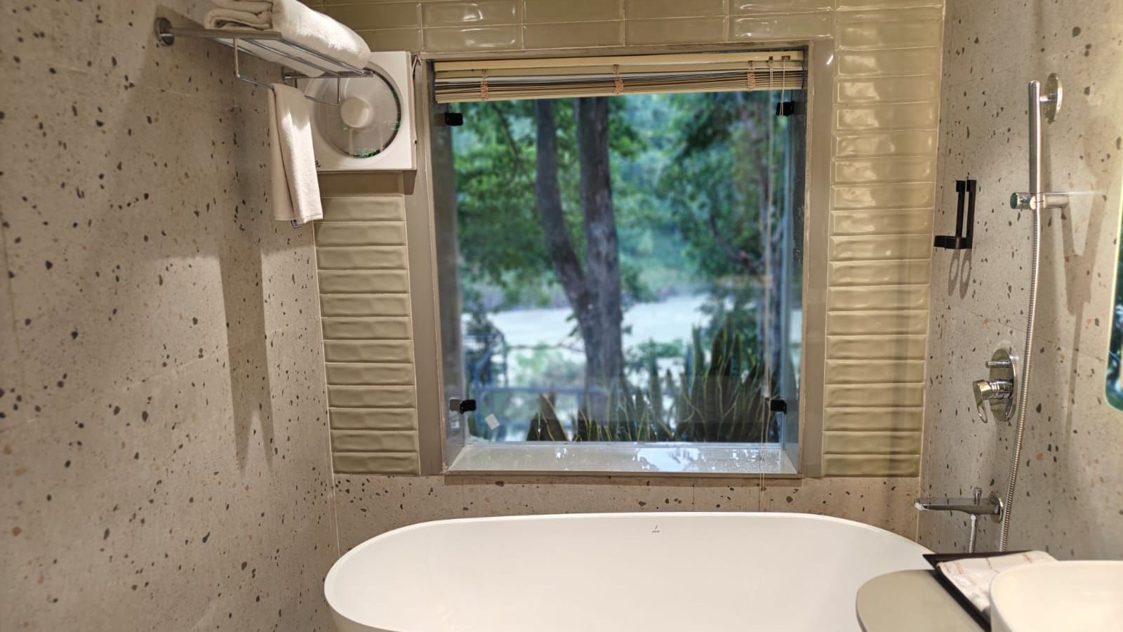 WhatsApp Image 2025-10-15 at 4.00.06 PM