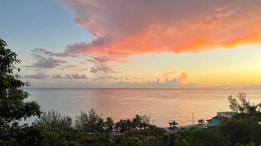 Vibrant sunset with trees overlooking the ocean | A Stone's Throw Away