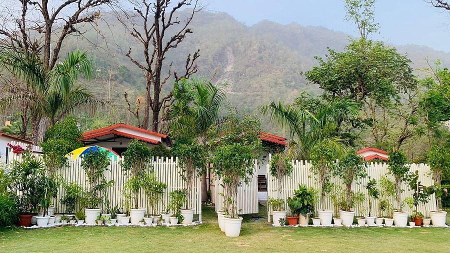 the garden area with potted plants and small trees at Neer Ganga Resorts