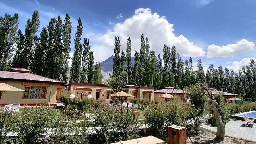 Daytime view of White Sand Resort, Ladakh featuring cabins, trees, and a picnic area under a cloudy sky.