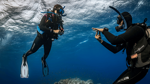 Barefoot Scuba Resort | Two divers communicating underwater during a dive.