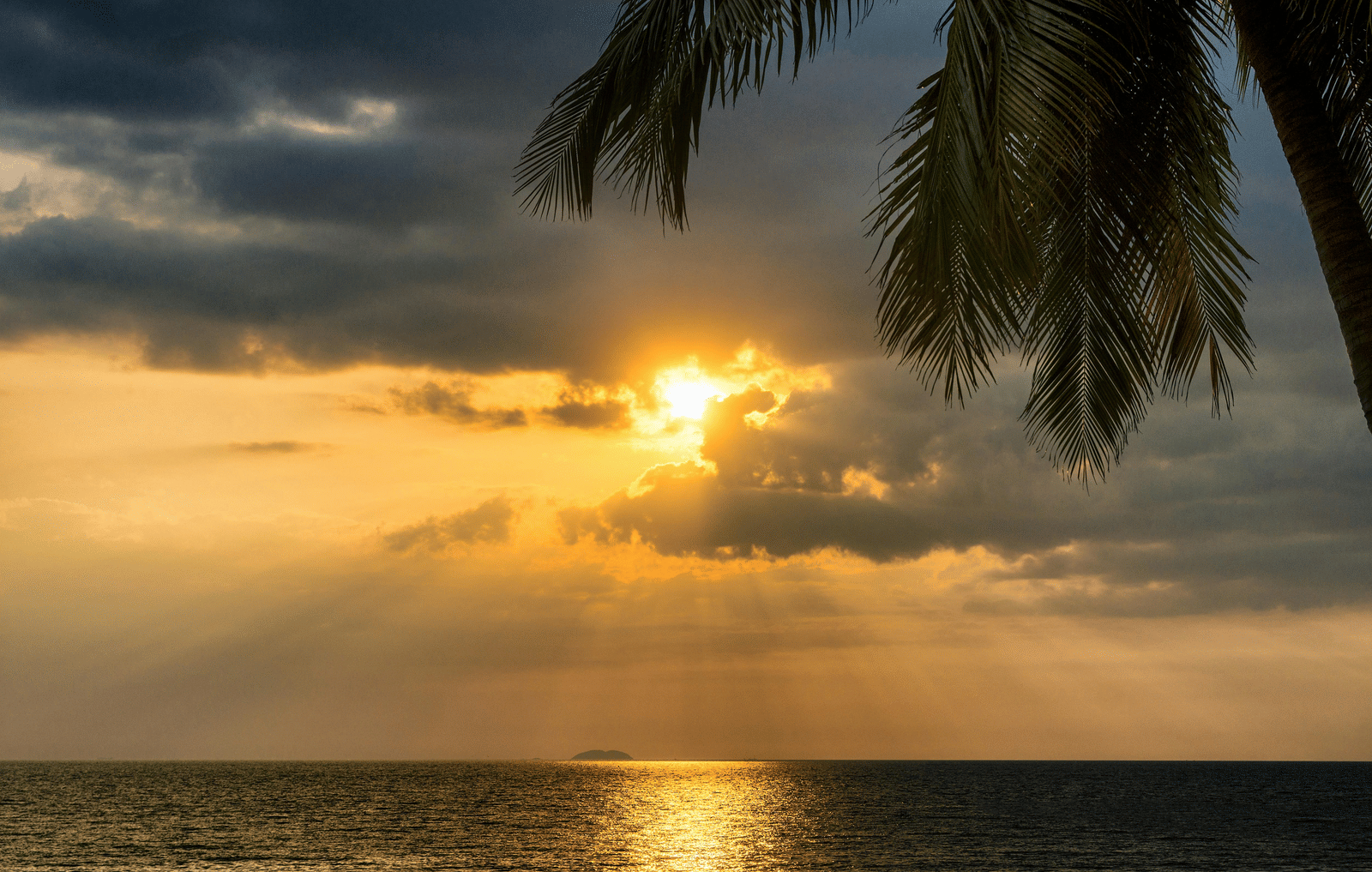 pexels-pixabay-355872