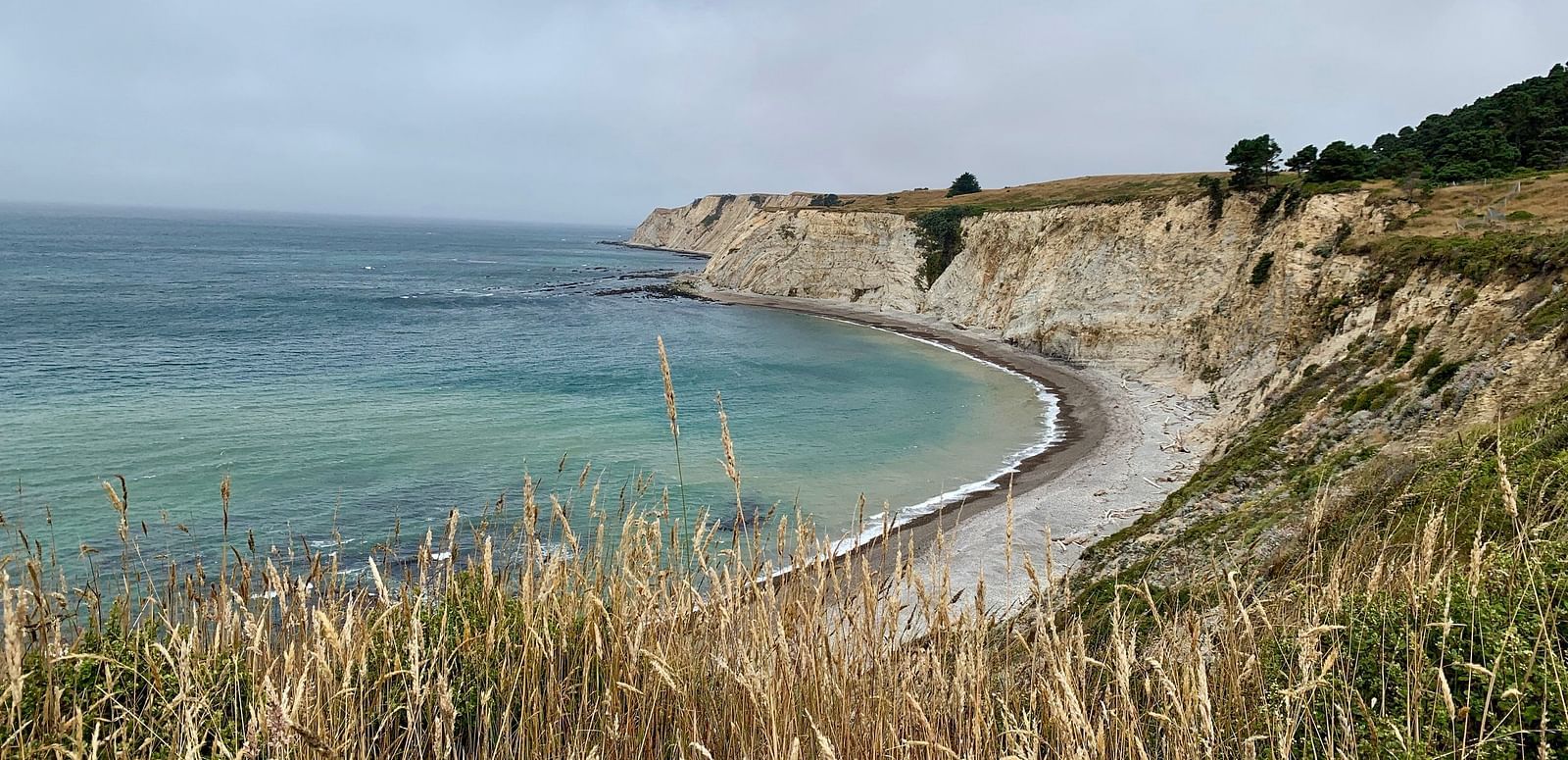 A curved beach meets a cliffside under an overcast sky, with tall grasses in the foreground.