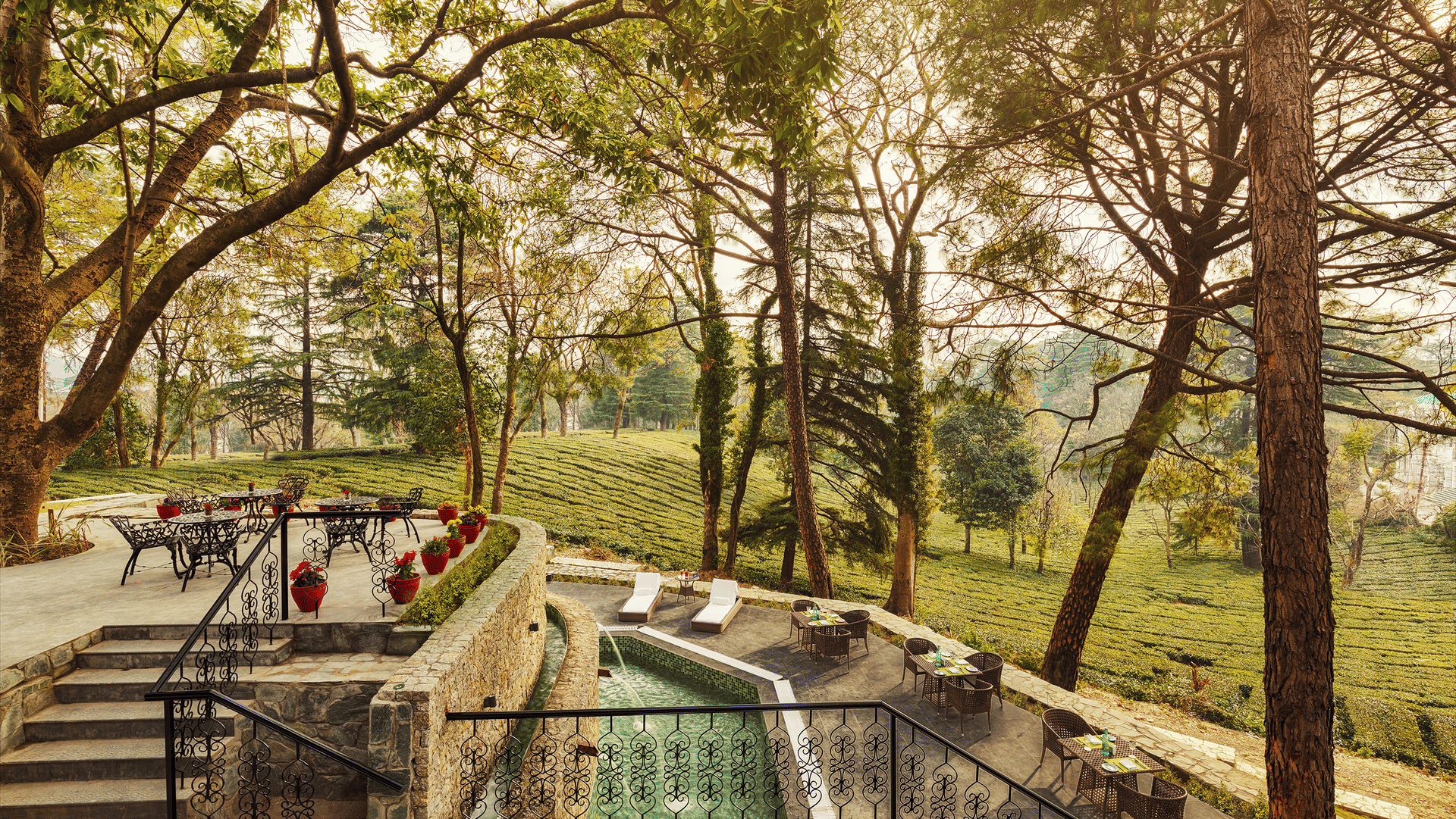 Infinitea Dakbunglow Palampur exterior amid the Bundla Tea Estate