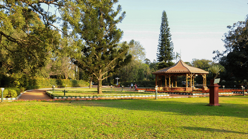 An open green lawn with a wooden bandstand and tall trees, bathed in soft sunlight
