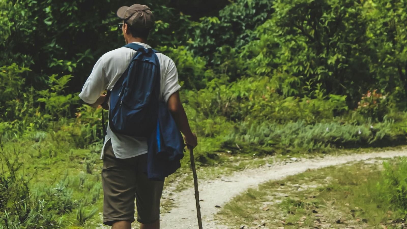 A person trekking on a hilly region with trees all around.