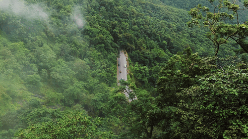 An aerial view of a single lane highway in between dense forest with mist covering. - Madurai to Kumily