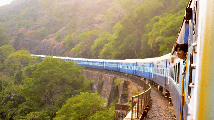 A train emerging from bright green vegetation