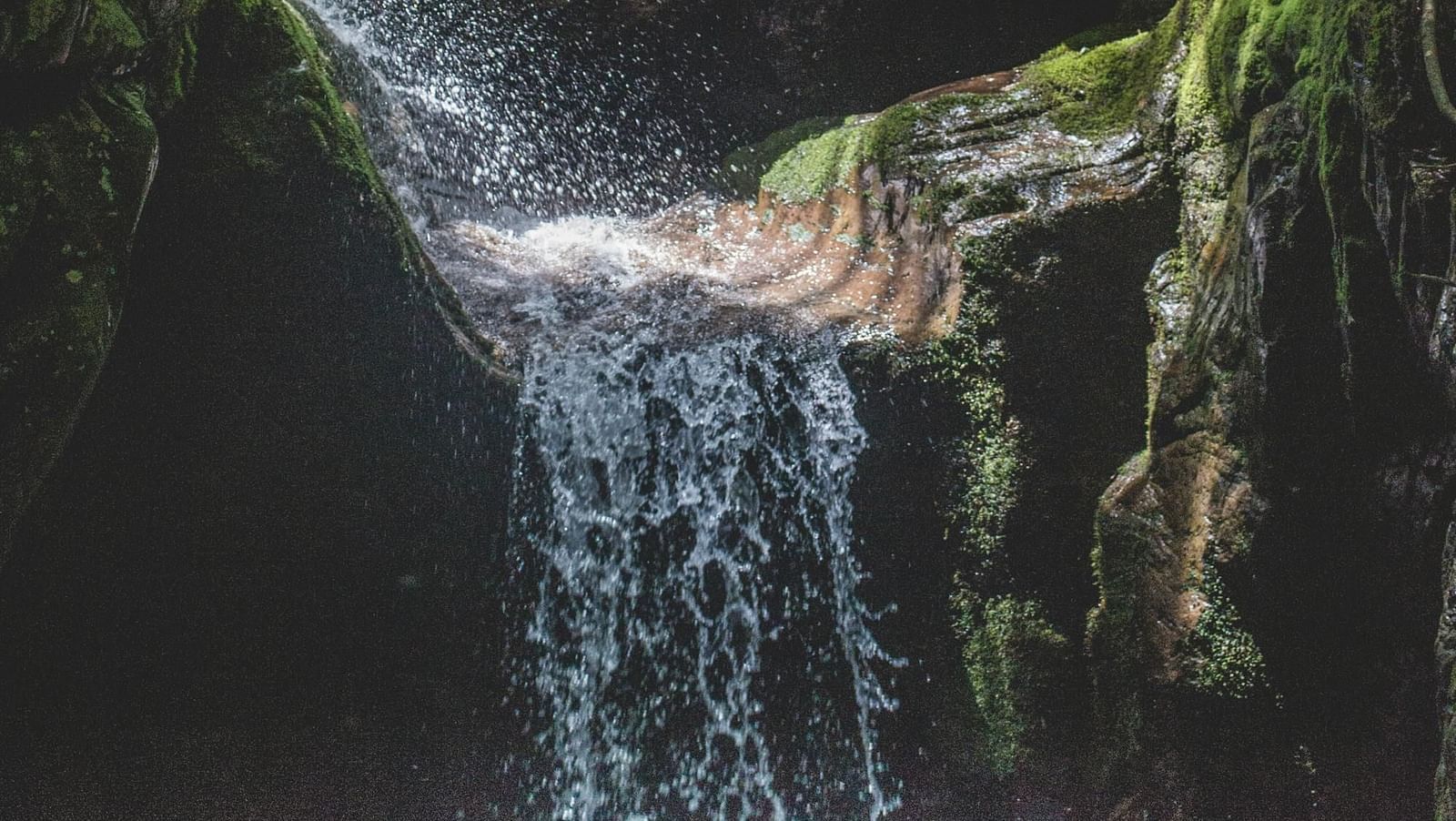 Image of waterfalls in a forest.