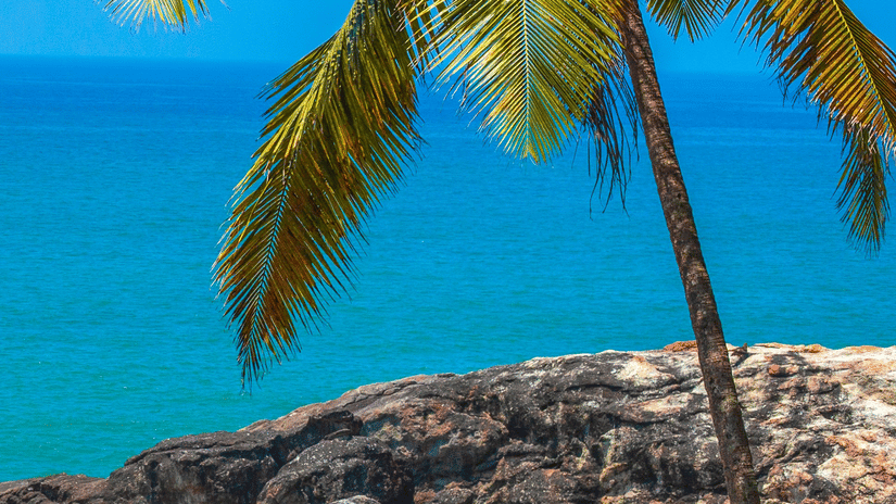 A sea beach, like Chowara Beach, Kerala, featuring a coconut tree against a blue sea almost blending with the blue sky