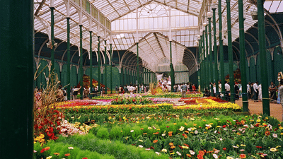 The Sanctum Suites, Bangalore Bangalore Lal bagh