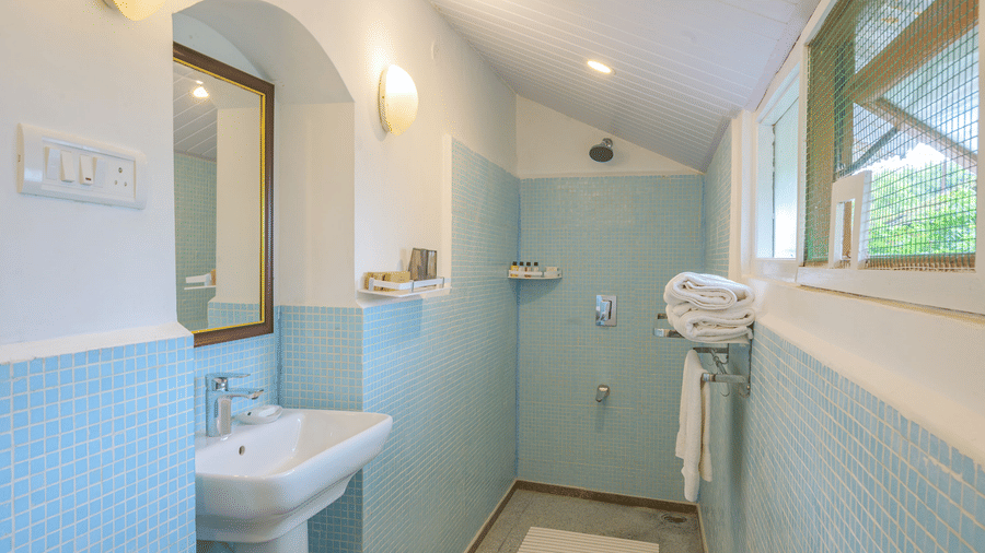 Bathroom of the Red Cedar room at Wallwood Garden - 19th Century, Coonoor featuring a walk-in shower, washbasin, towel rack and natural light.