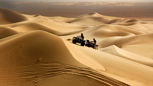 People riding Quad Bikes on Dune