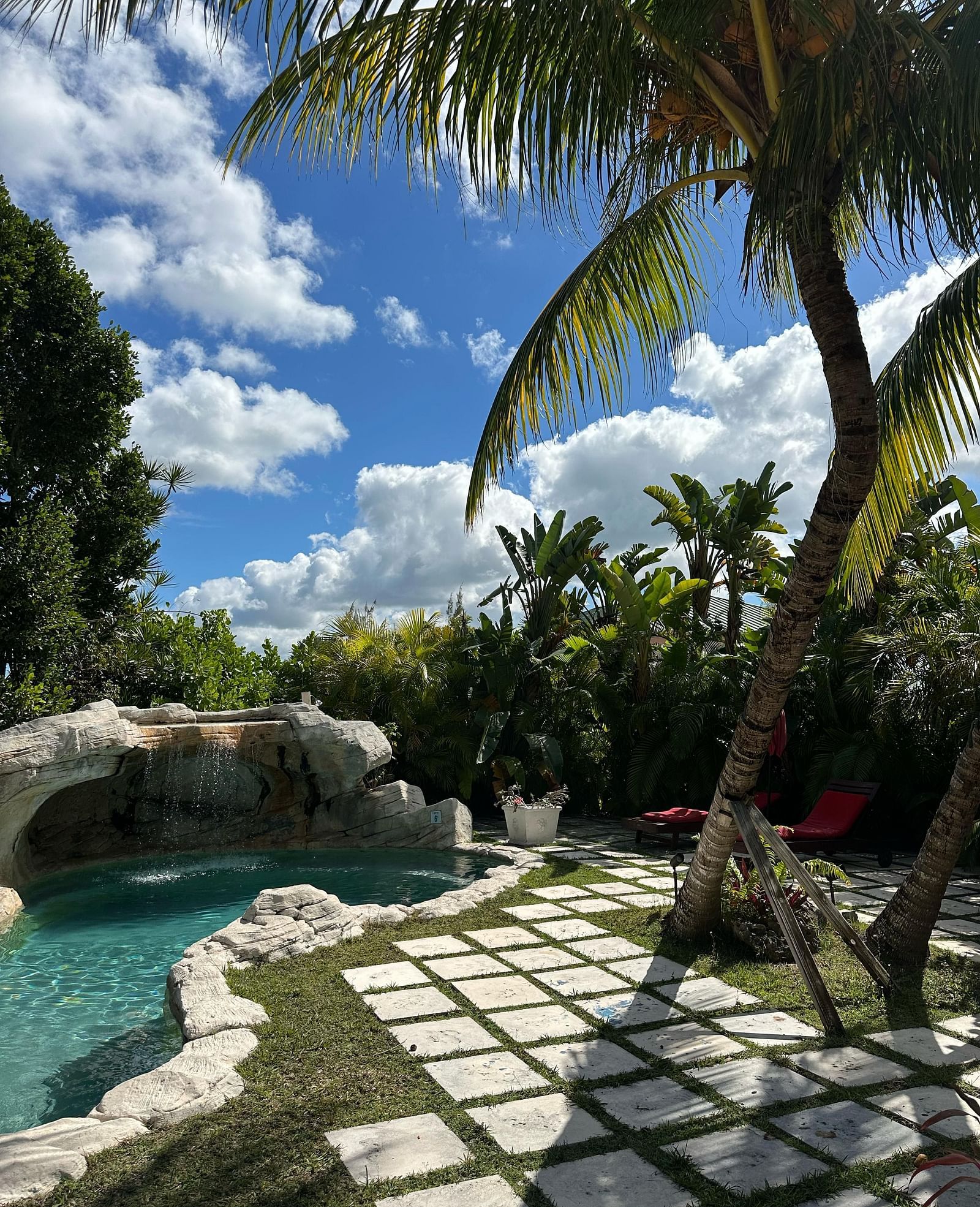 Outdoor pool area surrounded by palm trees and stone walkway | A Stone's Throw Away