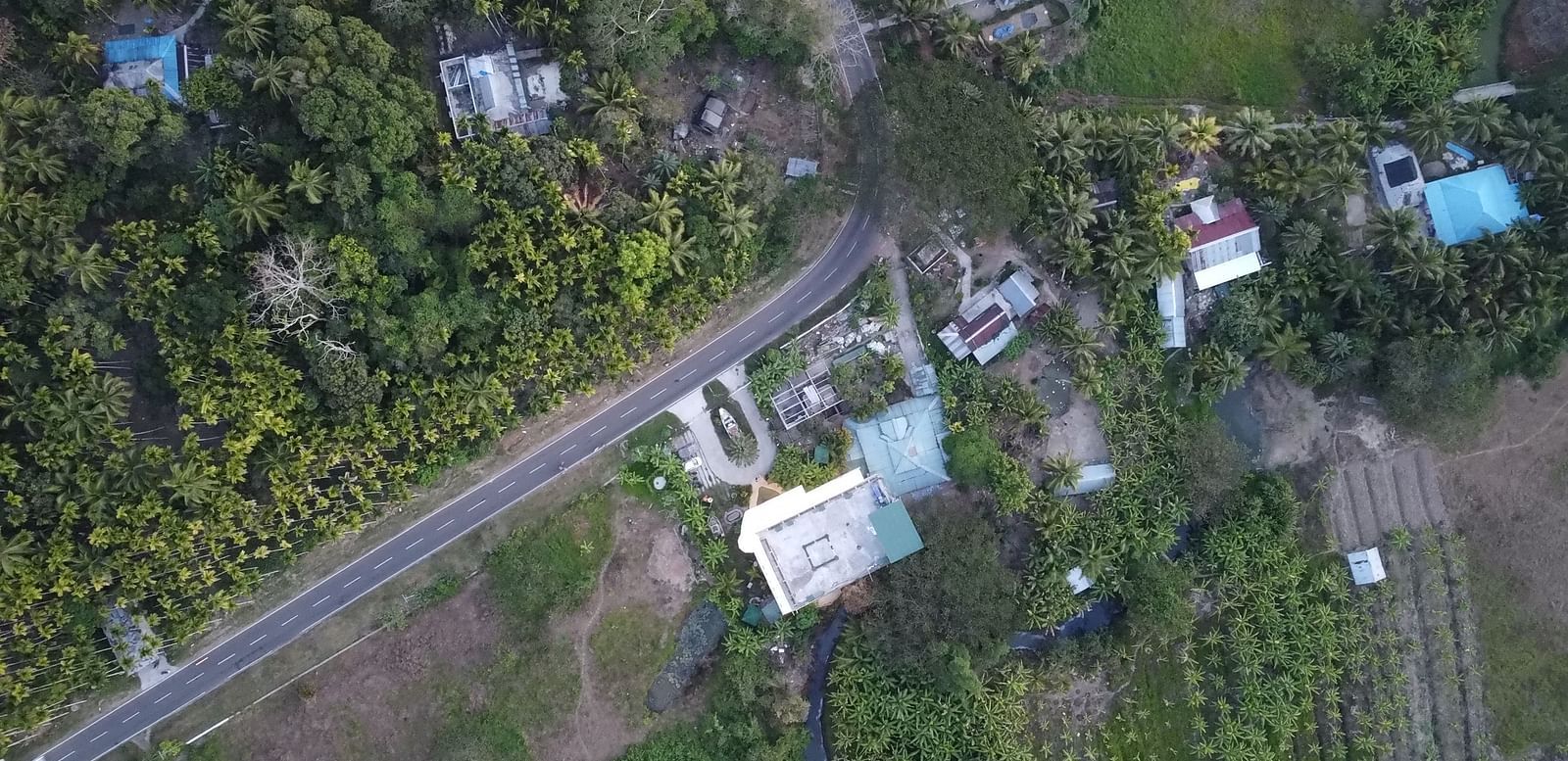 Aerial shot of buildings amidst trees on both sides of the road.