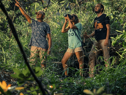 three people on a hike in a forest