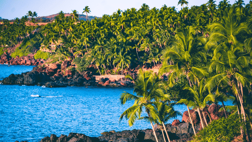 lucid blue waters of the coast surrounded by greenery