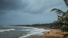 A moody, overcast beach in Goa during the monsoon with dark clouds, swaying palm trees, and white waves crashing on the shore.